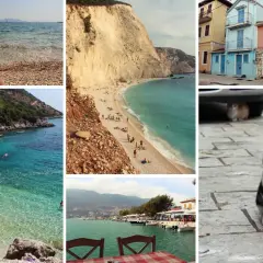 Wakacje na Lefkadzie: plaże, turkusowa woda, kolorowe domki i koty. Idealne lefkada miasto.