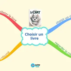 Carte mentale pour une bonne idée lecture : feuilleter, lire le résumé, regarder la couverture, choisir un thème (aventure, pirate, animaux, enquête).