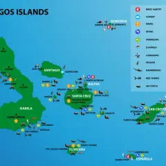 Wyspy Galapagos: Gdzie leżą i jak zaplanować podróż życia?