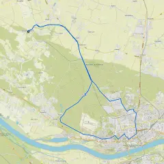 Trasy rowerowe Kujawsko-Pomorskie: malownicza pętla wokół Torunia, przez Zamek Bierzgłowski i rezerwaty.