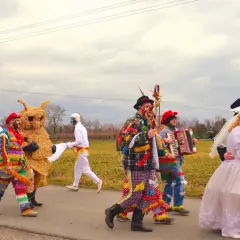 Kolorowy korowód w tradycyjnych strojach, z niedźwiedziem i muzyką, celebruje karnawał w Polsce.