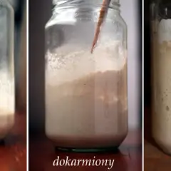 Zakwas chlebowy po miesiącu w lodówce? Obudź go w 3 dni!