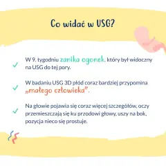 W 9. tygodniu ciąży zanika ogonek płodu, który na USG przypomina już "małego człowieka". Pojawiają się szczegóły głowy.
