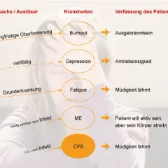 Fatigue Symptome: Erkennen Sie die versteckten Anzeichen der Erschöpfung