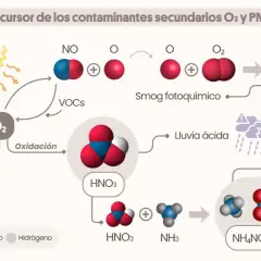 El NO₂ de los coches se oxida y, con la luz solar, genera smog fotoquímico y lluvia ácida, contribuyendo a la nox contaminante y PM2.5.