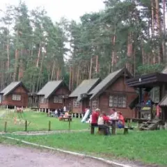 Drewniane domki letniskowe w lesie, plac zabaw i ludzie przy stołach. Stare jabłonki dodają uroku temu miejscu, oferując liczne atrakcje dla wypoczywających.