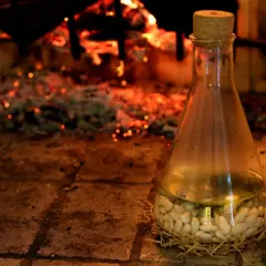 Fagioli al fiasco, un'antica ricetta che profuma di camino e tradizione. I fagioli bianchi riposano in un fiasco di vetro, pronti per essere cotti lentamente.