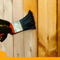 Mano enguantada aplica barniz a madera. Descubre con qué pintura se pinta la madera para protegerla y embellecerla.