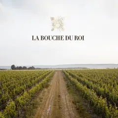 Vastes vignobles s'étendant à perte de vue, sous un ciel clair. Le domaine La Bouche du Roi, promesse de grands crus.