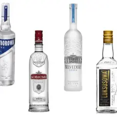 Najlepsze wódki smakowe w 2023 roku – ranking 