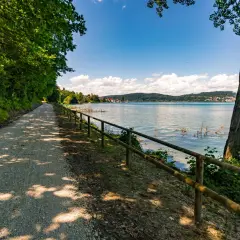 Schattenreicher Weg am Bodensee, ideal zum Wandern. Bäume säumen den Kiesweg, der zum glitzernden Wasser führt.