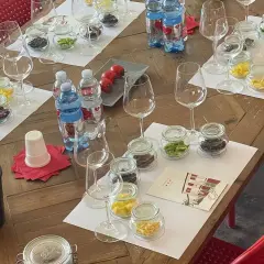 Degustazione al podere conca: bicchieri, vasetti con campioni e bottiglie d'acqua pronti per un'esperienza sensoriale.