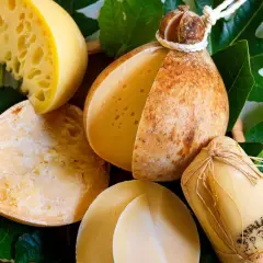 Varietà di formaggio caciocavallo, alcuni interi, altri tagliati, su foglie verdi.