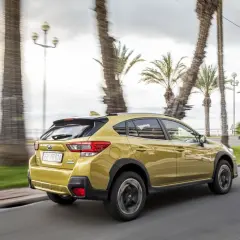 Złoty Subaru XV 2.0 benzyna jedzie wzdłuż nadmorskiej promenady, mijając palmy i biegacza.
