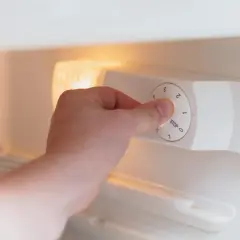 Main tenant ajuste la température d'un frigo. Le bouton est réglé sur 1, juste au-dessus de "STOP".