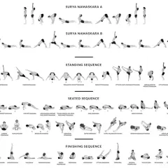 Sekwencje ashtanga: Surya Namaskara A i B, pozycje stojące, siedzące i końcowe.