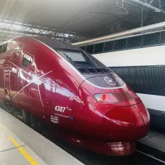 Roter Eurostar-Zug am Bahnsteig, bereit für die Fahrt von Brüssel nach London.