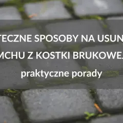 Skuteczne metody czyszczenia kostki brukowej z mchu, które działają