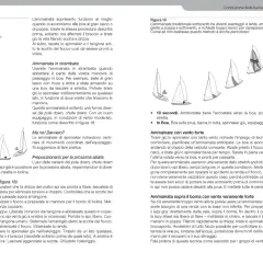 Vele triangolari in manovra: ammainata in strambata e con vento forte.