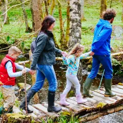 Familie überquert Holzbrücke auf einem erlebnispfad nrw. Vater hält Kescher, Kinder halten sich an Eltern.