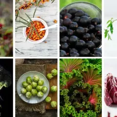 Hagebutten, Sanddorn, schwarze Johannisbeeren, Brokkoli, Rosenkohl, Grünkohl und Radicchio – vielfältige vitamin c lebensmittel für eine gesunde Ernährung.