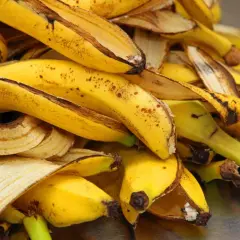 Góra żółtych skórek po bananach, gotowych na nawóz z bananów.