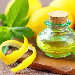 Olio essenziale di limone in una bottiglietta, con scorze di limone e foglie di menta. Il limonene cos'è? È il componente principale di questo olio profumato.