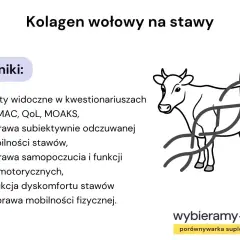 Wyniki badań nad kolagenem wołowym: poprawa stabilności stawów, samopoczucia i mobilności. Pomocne w walce z dyskomfortem, jak przy rdzeniowym zaniku mięśni.