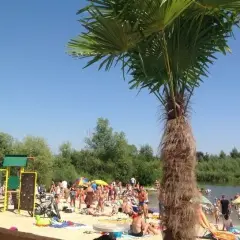 Rzeszów z dzieckiem: Od bajek po piwnice niezapomniane chwile