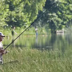 Kiedy sezon na szczupaka? Kluczowe daty i przepisy dla wędkarzy