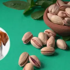 Czy pies może pistacje? Na zielonym tle piesek patrzy na miseczkę pełną pistacji.
