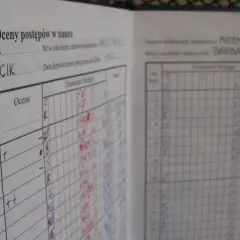 Widok dziennika lekcyjnego z wpisanymi ocenami z matematyki dla Barbary Wójcik.