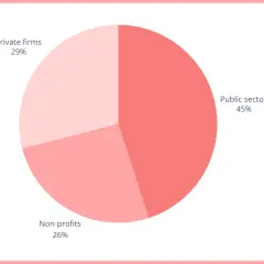 Pie chart showing MPA career paths: 45% public sector, 29% private firms, 26% non-profits. Is an MPA worth it?