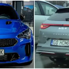 Niebieski Kia Stinger i szary Kia Proceed. ZSL rejestracja na obu autach.