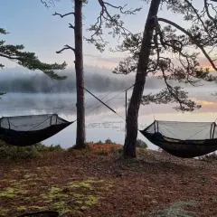 Två hängmattor redo för att sova i vid en dimmig sjö i gryningen. En person ligger redan och njuter av lugnet.
