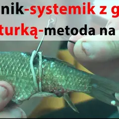 Skuteczne metody zbrojenia trupka na sandacza, które przyciągają ryby