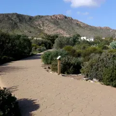 Camino sinuoso en el jardín botánico Rodalquilar, rodeado de vegetación mediterránea y montañas al fondo.