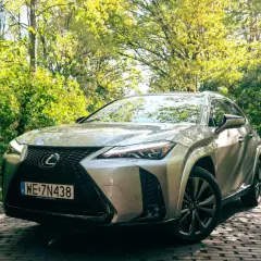 Srebrny Lexus UX 250h na brukowanej drodze w otoczeniu zieleni.