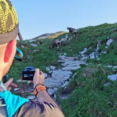Jak zostać fotografem National Geographic i uniknąć najczęstszych błędów
