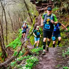 Des coureurs s'attaquent à un sentier de course en pleine nature, entourés de verdure et de fleurs sauvages.