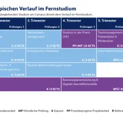 Der ideale Studienverlauf für ein betriebswirtschaft studieren im Fernstudium, aufgeteilt in Trimester mit Modulen wie Strategisches Management, Wirtschaftsrecht und Businessplanentwicklung.