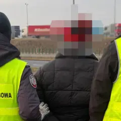 Funkcjonariusze Straży Granicznej i Służby Celno-Skarbowej zatrzymują osobę na drodze.