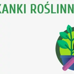 Co to jest tkanka roślinna? Kluczowe informacje i funkcje w botanice