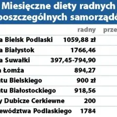 Ile zarabia radny osiedla? Zaskakujące fakty o wynagrodzeniach