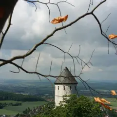 Blick durch kahle Äste auf die Burg Bielstein, ein weißer Turm mit grauem Dach ragt über grüne Hügel und eine Stadt.