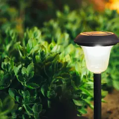 Solarna lampka ogrodowa świeci na tle zielonych roślin.