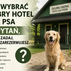 Złoty retriever przed zielonym budynkiem z napisem "Zielona Chatka Hotel dla Psów". Obrazek podpowiada, jak wygląda hotel dla psów i jakie pytania zadać przed rezerwacją.