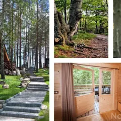 Podlasie: Domek nad jeziorem? Znajdź idealny wypoczynek!