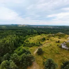 Krajobraz Jury Krakowsko-Częstochowskiej z wapiennymi ostańcami, zielonymi lasami i widoczną w oddali miejscowością.