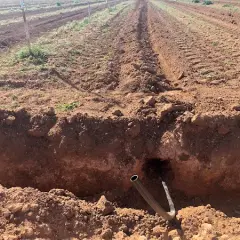 Riego por goteo subterráneo: mejora la eficiencia del agua y cultivos
